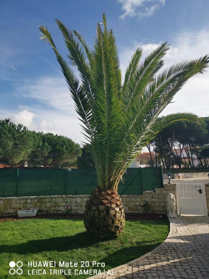 Villa Lala Amoreira  Εξωτερικό φωτογραφία